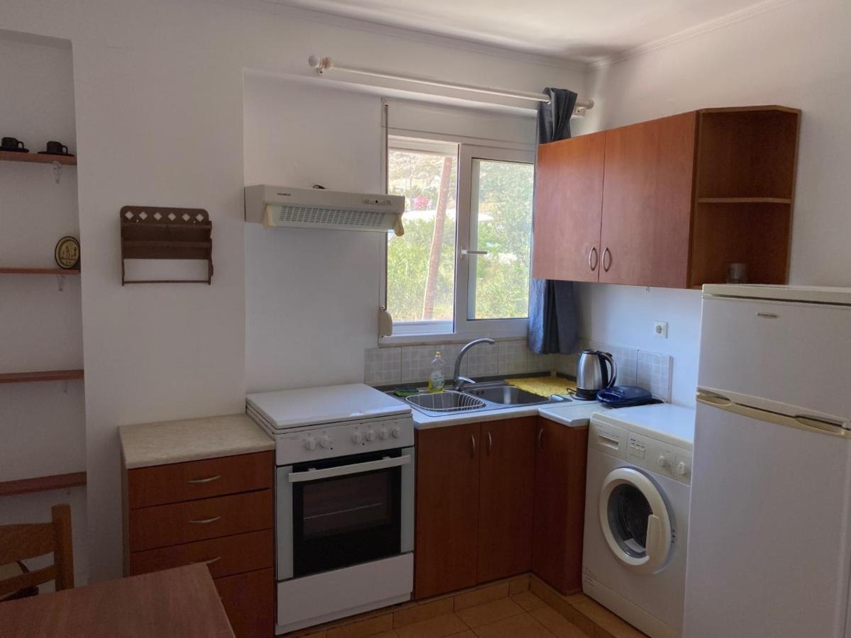 Plastiras Sea View Apartments アルハンゲロス エクステリア 写真